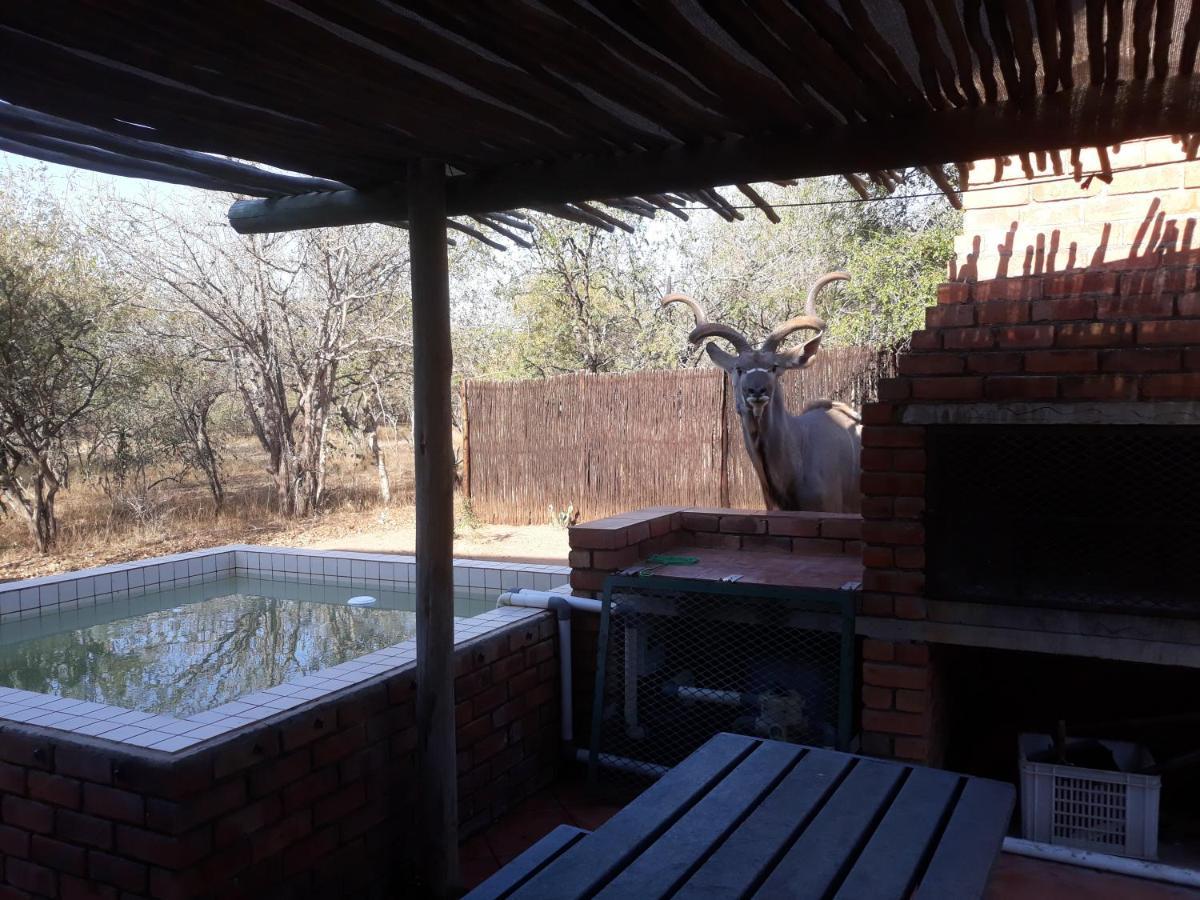 Villa Eagle'S Crest Marloth Park Exterior foto