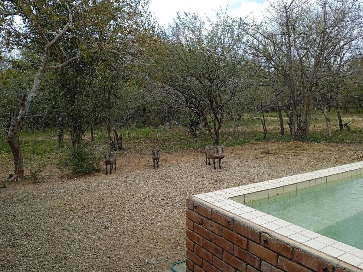 Villa Eagle'S Crest Marloth Park Exterior foto