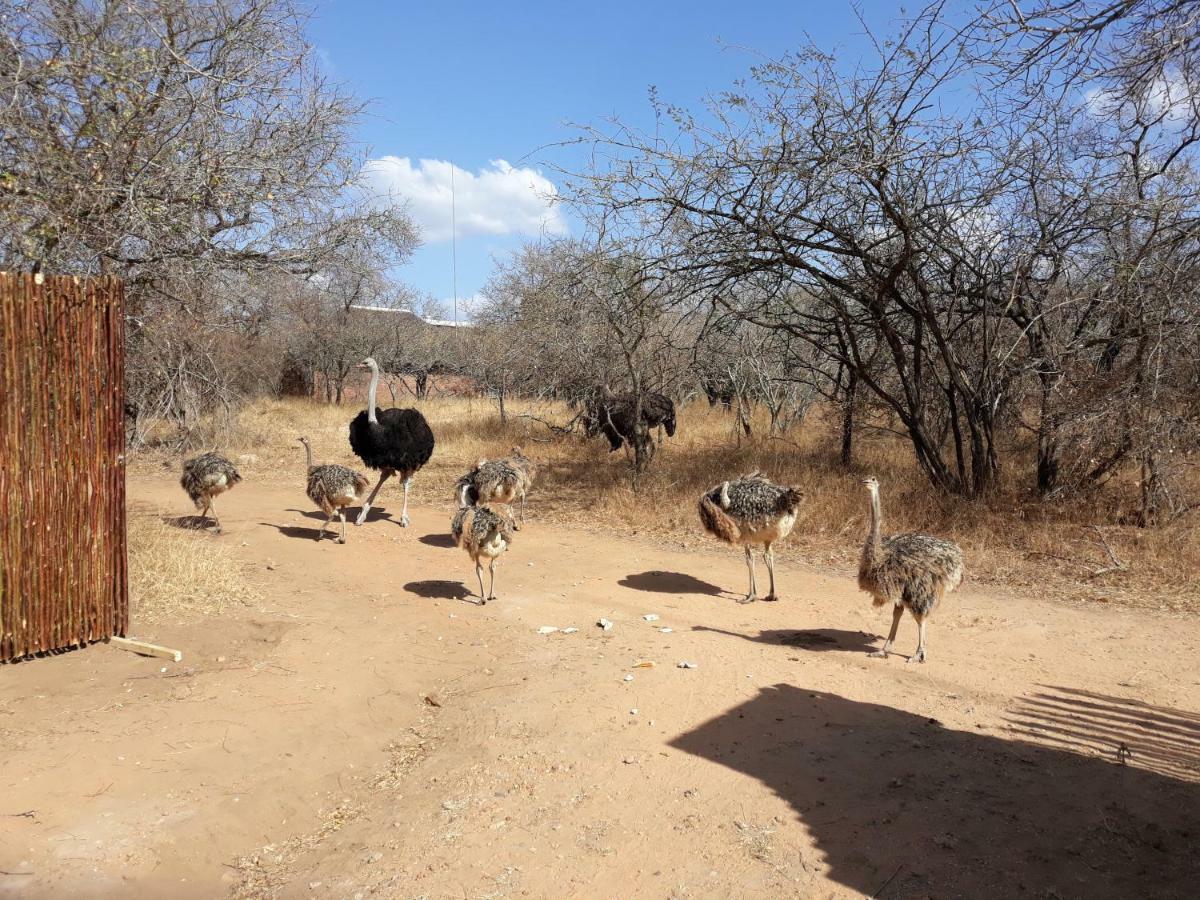 Villa Eagle'S Crest Marloth Park Exterior foto